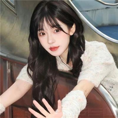 霹雳皇朝之龙城圣影